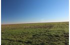 TRACT 4 - REAL ESTATE & MINERAL AUCTION - 640+/- ACRES & PRODUCING MINERALS OFFERED IN 8 TRACTS IN MORTON COUNTY, KANSAS